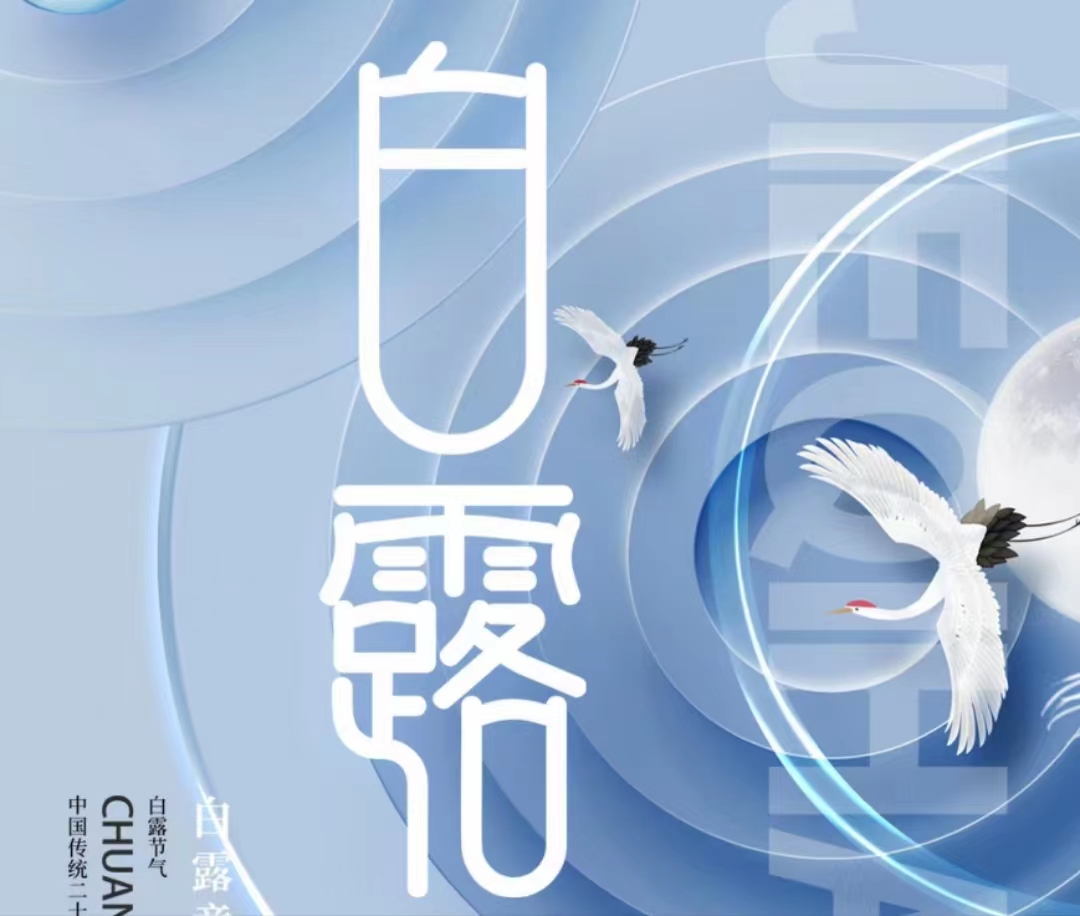 蒹葭蒼蒼，白露為霜